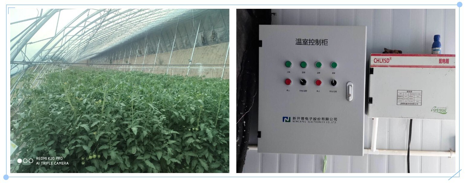 翁牛特旗園區(qū)智慧大棚項(xiàng)目，交出現(xiàn)代農(nóng)業(yè)的“亮眼答卷”！(圖4)